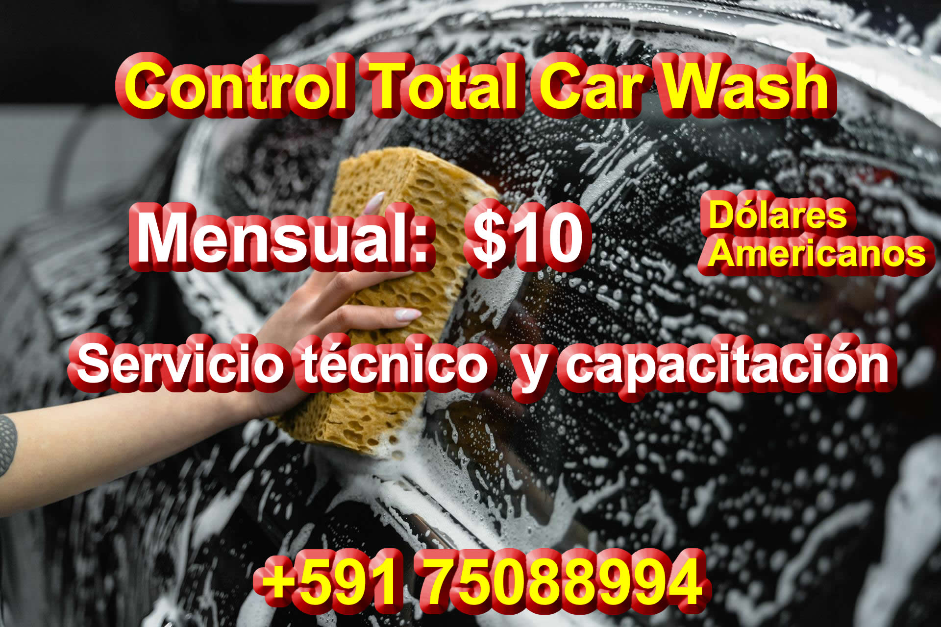 Descripción de la imagen